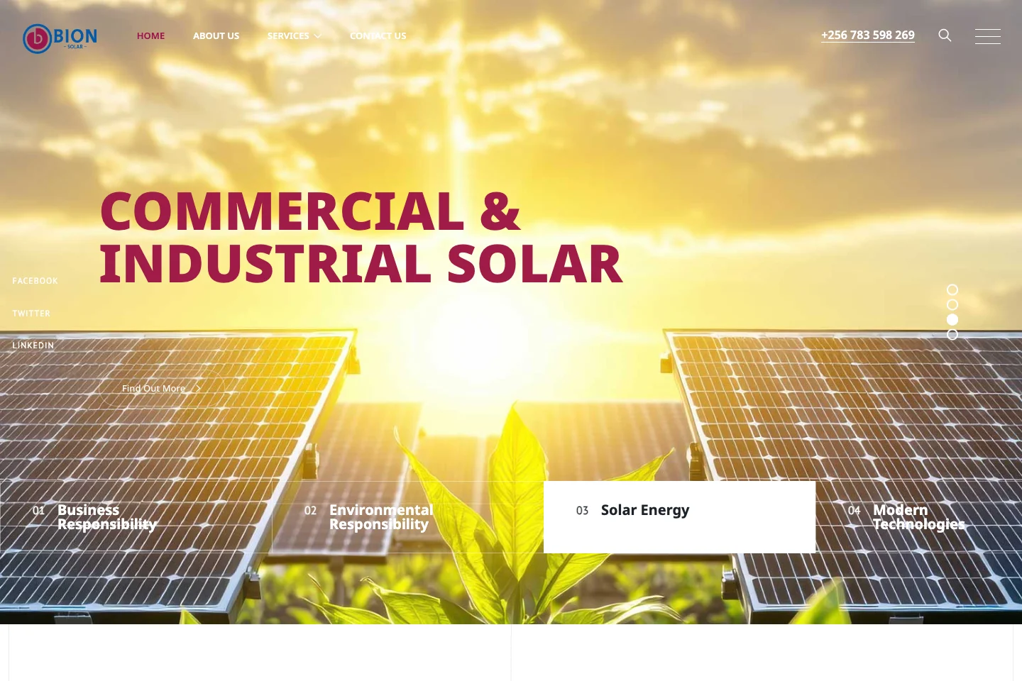 Bion Solar website